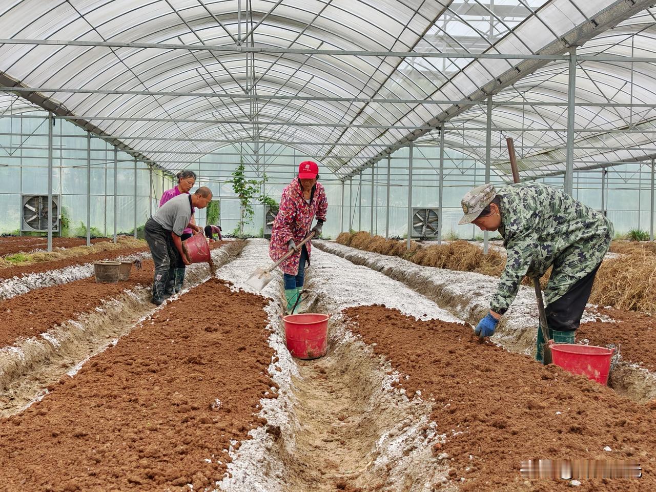 驻村日志：说实话，驻村以来，最大的感触就是：搞农业产业，真不是喊几句口号那么简单