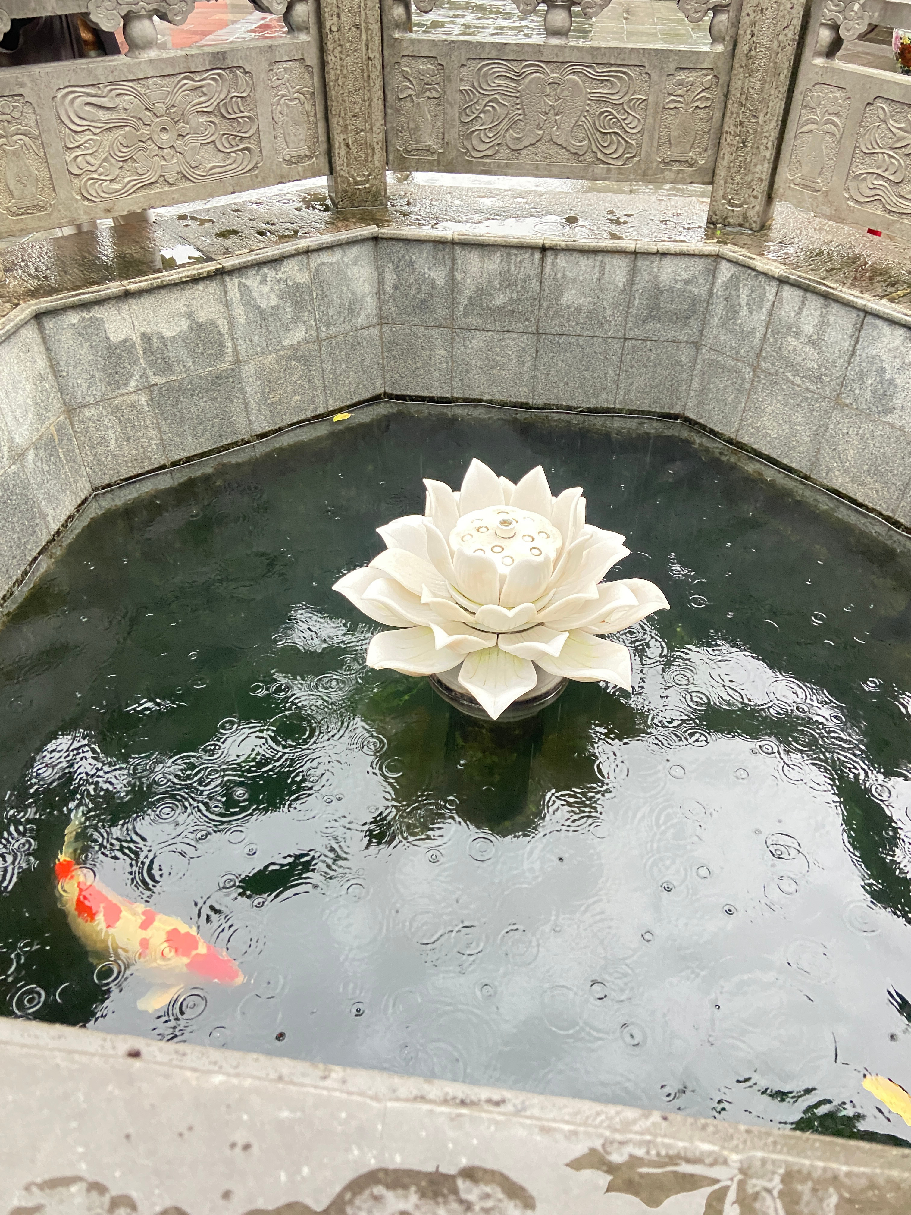 玉簟秋[超话] 玉簟秋短评 五少给你看锦鲤好运连连啊～[赢牛奶] ​​​