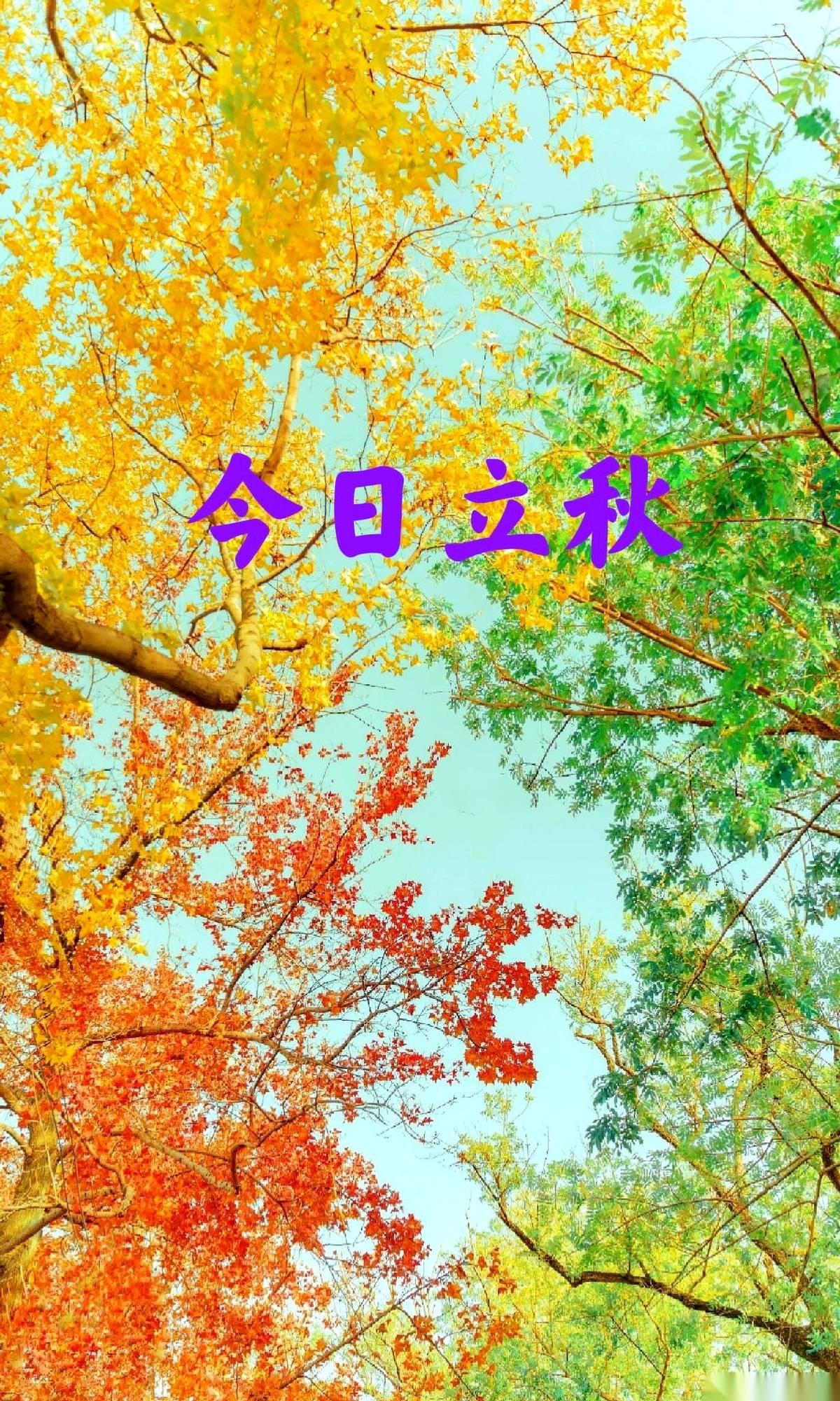 老话讲，“今年冬天冷不冷，就看立秋这一天”。
一句“立秋南风秋要旱，立秋北风冬雪