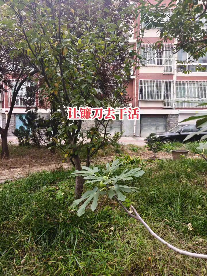 我还是提醒大家一句，各位韭菜们、边角料、炮灰听好了，如果都能让你们换成某个资产，