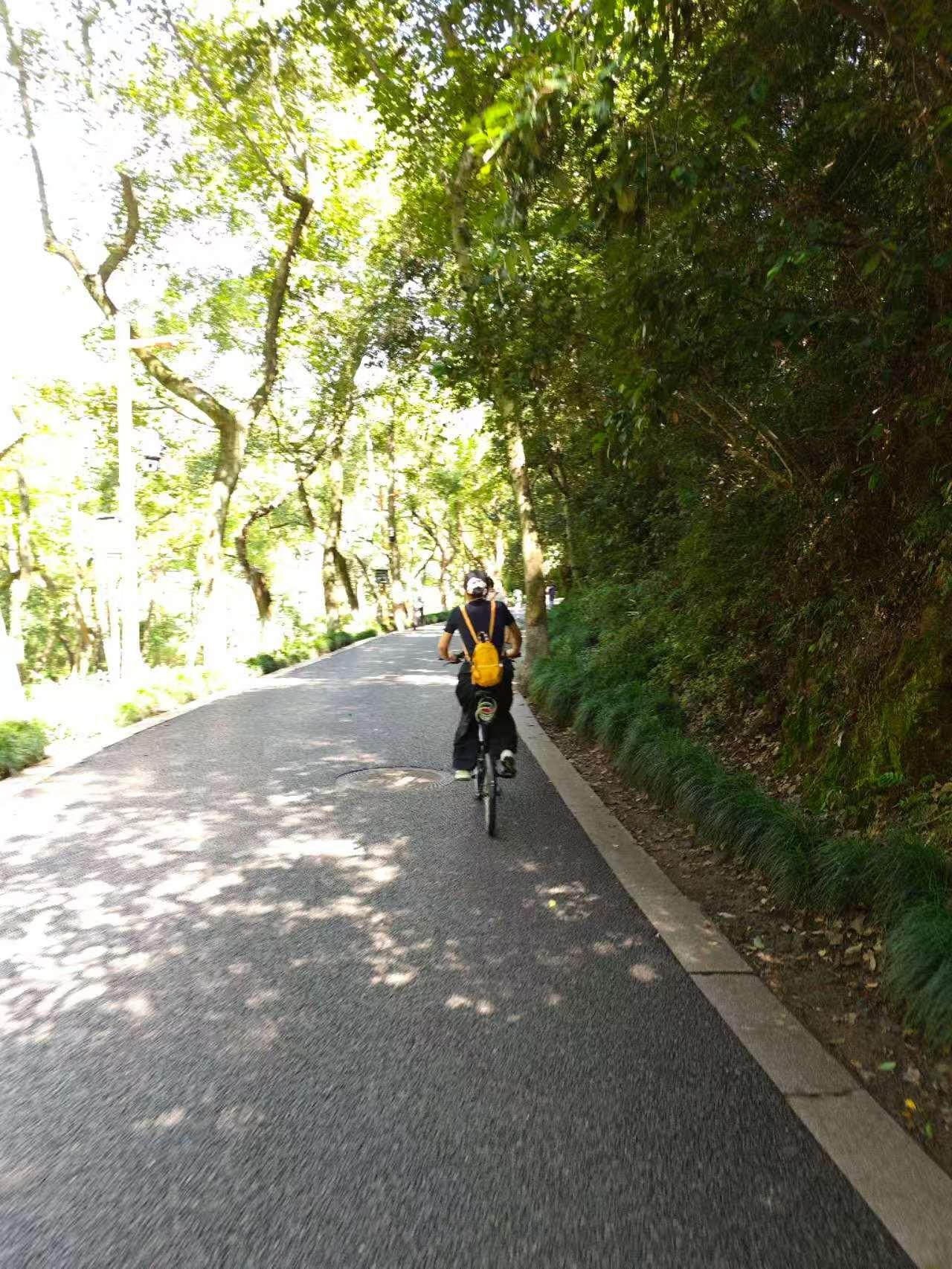 秋天九溪十八空气清新，阳光透过树叶的缝隙洒在通往龙井村的路上，我骑行在这金色的时
