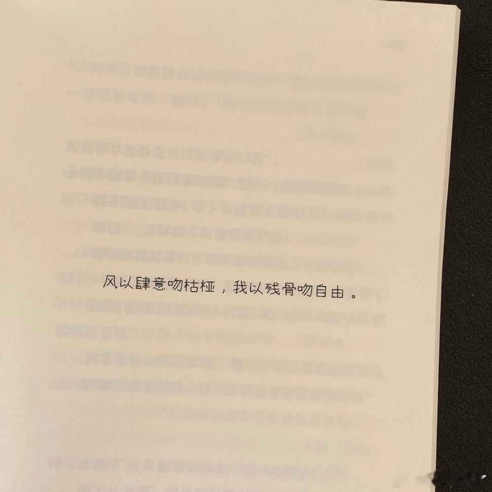 “且以群词注解我这座荒山” 