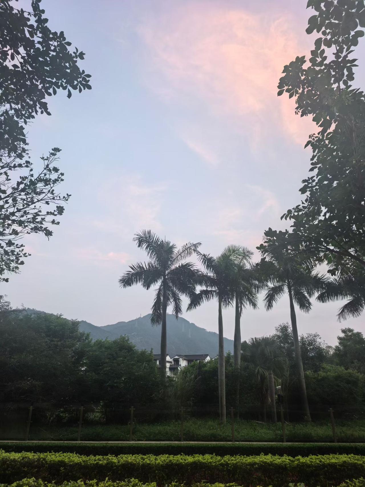 骑行在绿树成荫的公园小道上，享受阳光与微风。你还在坚持练习瑜伽吗? 求大佬推荐品