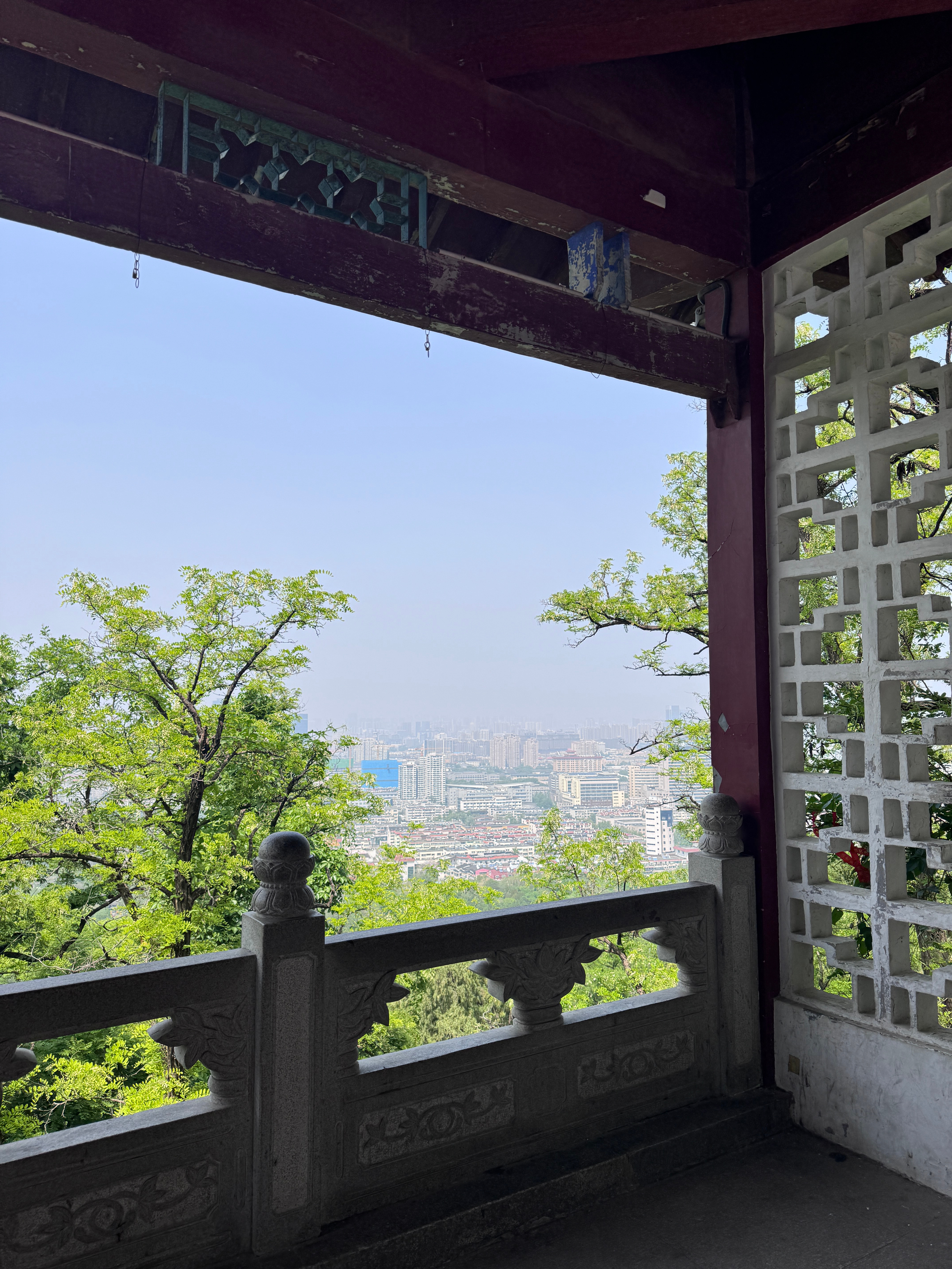 已在大佛面前替你许愿：不加班不脱发！我的日常plog 济南·千佛山风景名胜区