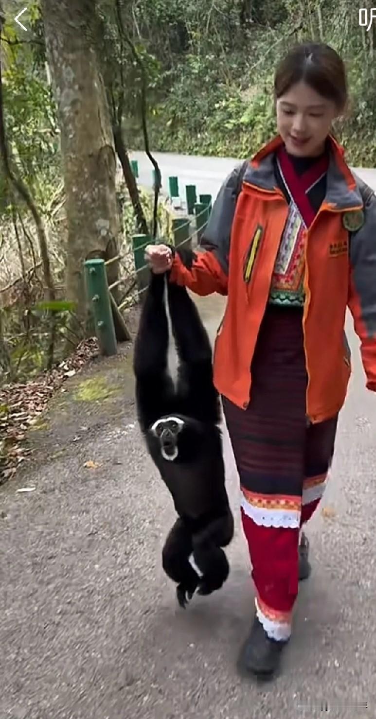 这么漂亮的小姐姐去当动物管理员，是不是太委屈了？
 
刚刚看到一个视频，一位美丽