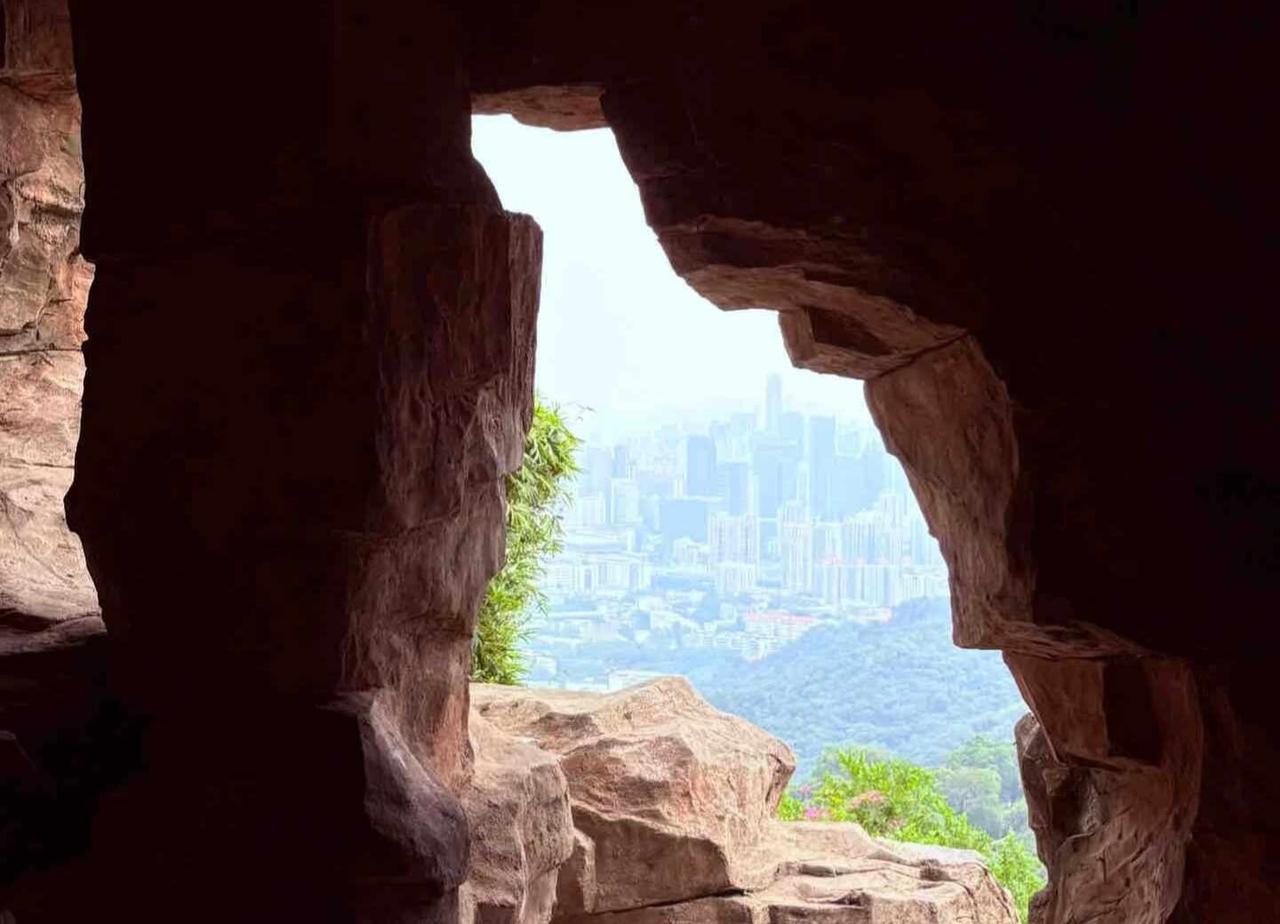 五一的快乐，是白云山⛰️…
暂时逃离了城市的喧嚣，踩着石阶往上走，风里都是草木的