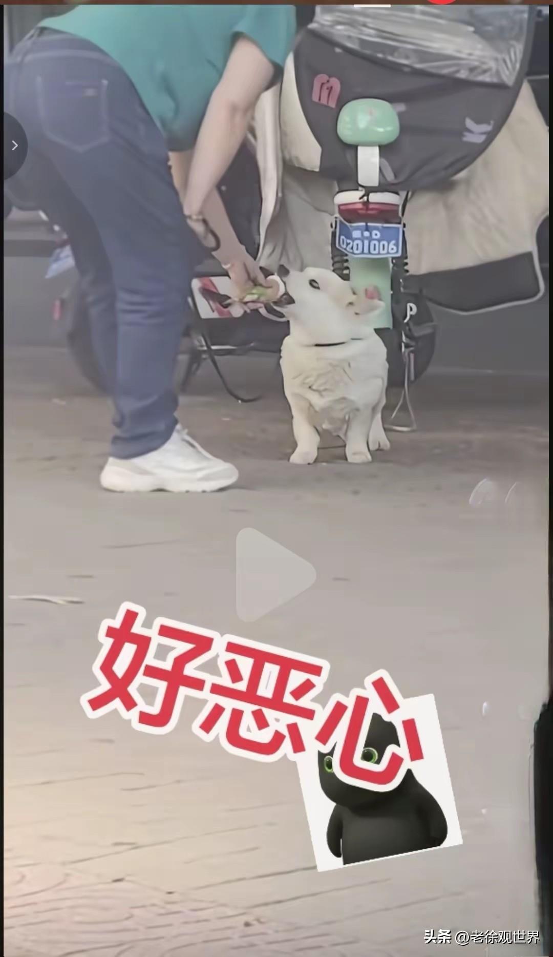 这绝对亲生的！女子把刚买的冰淇淋先喂给狗，等狗子舔几口后才送到自己嘴里吃起来！