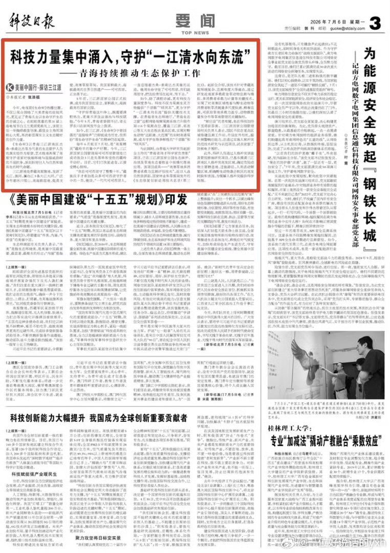 视后杨紫的《生命树》