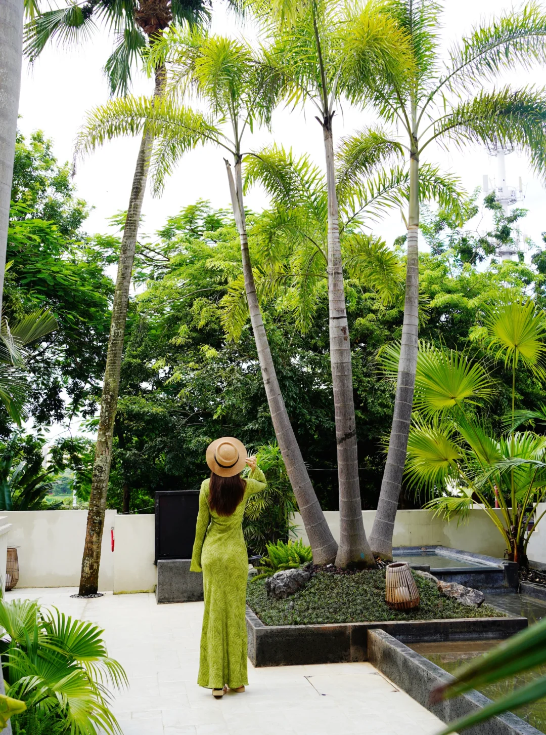 开学季逃离城市 来版纳住进热带雨林🌴