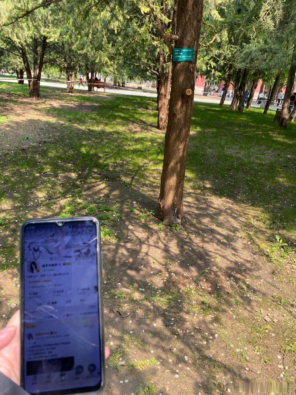 地坛ID  专栏 · 🆔记录