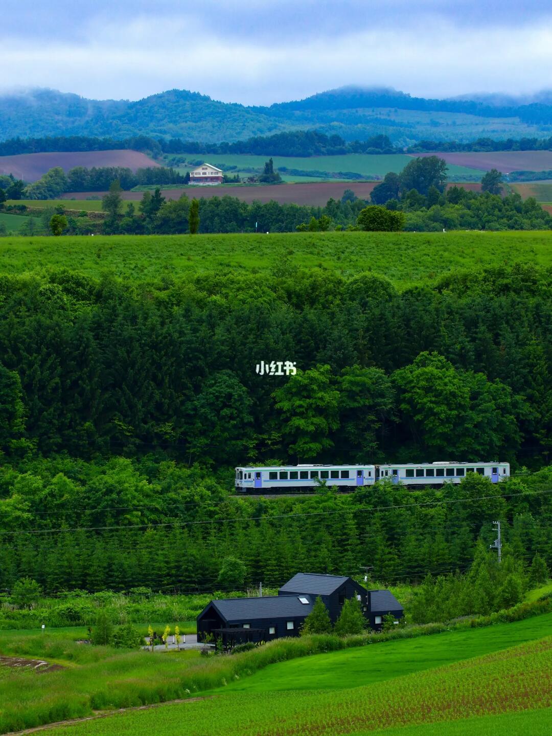 🇯🇵北海道的绿意