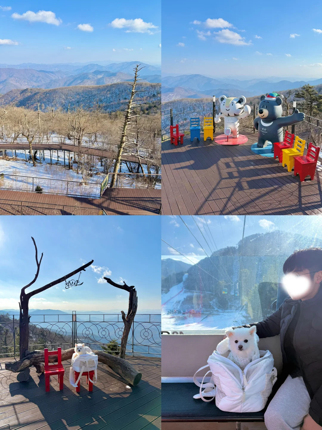 🇰🇷江原道平昌｜发王山缆车🚡宠物友好