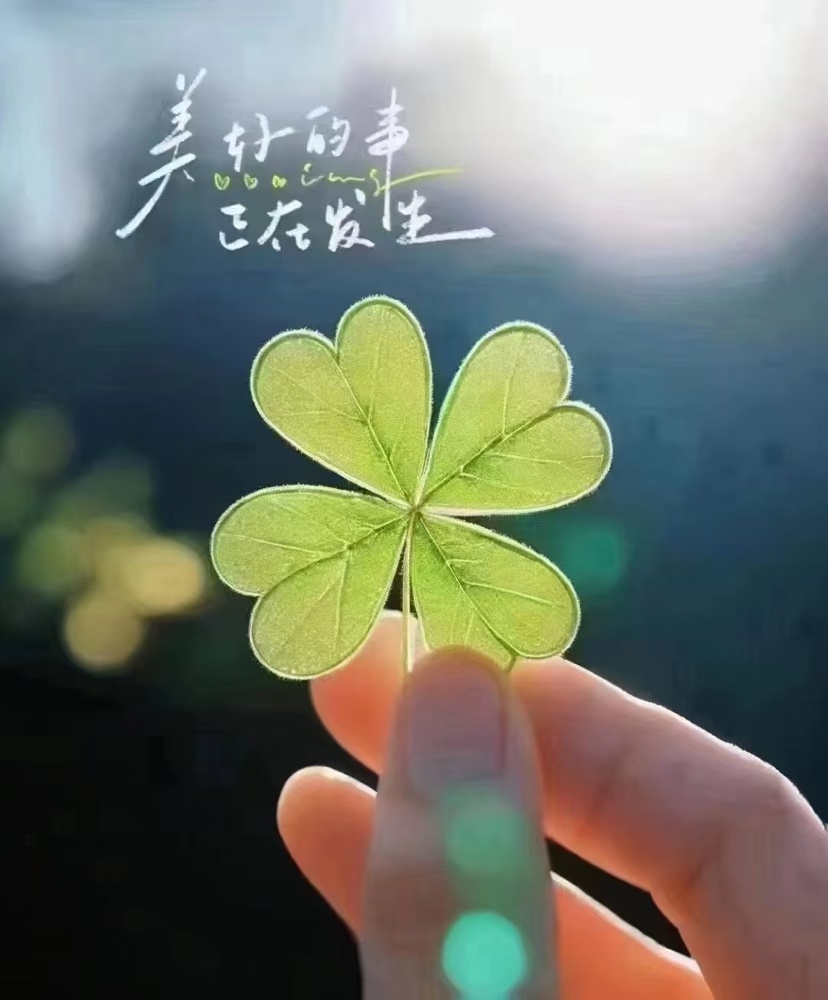 生活的美好在于日常的欢喜用好的心情去承揽今日好的运气[太阳][太阳] ​​​