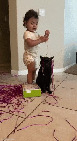 猫猫：你看看你妈回来骂不骂你 ​​​