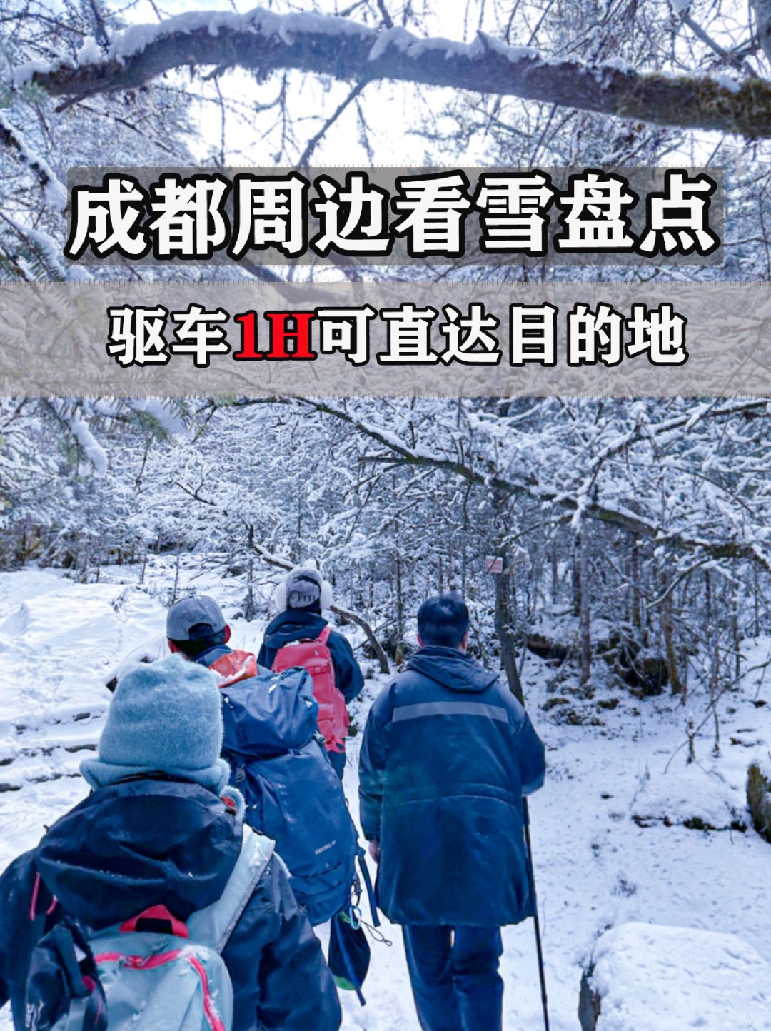 成都周边看雪盘点🔥驱车1H可直达目的地
