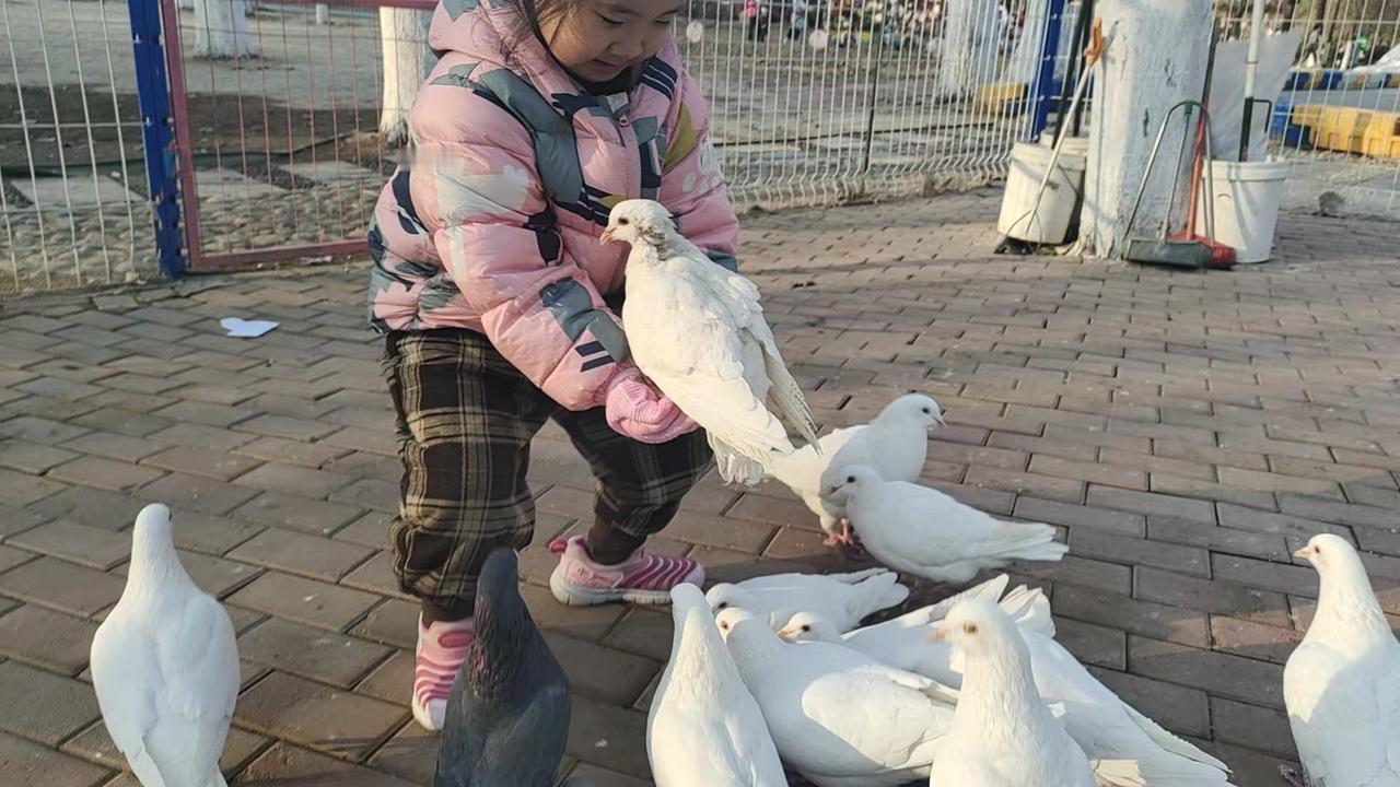 看到“古有快马送信”这个上联，就仿佛穿越到古代，看到骏马在古道上飞驰送信的场景。