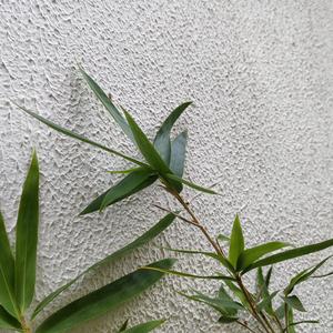没有退休工资的人
