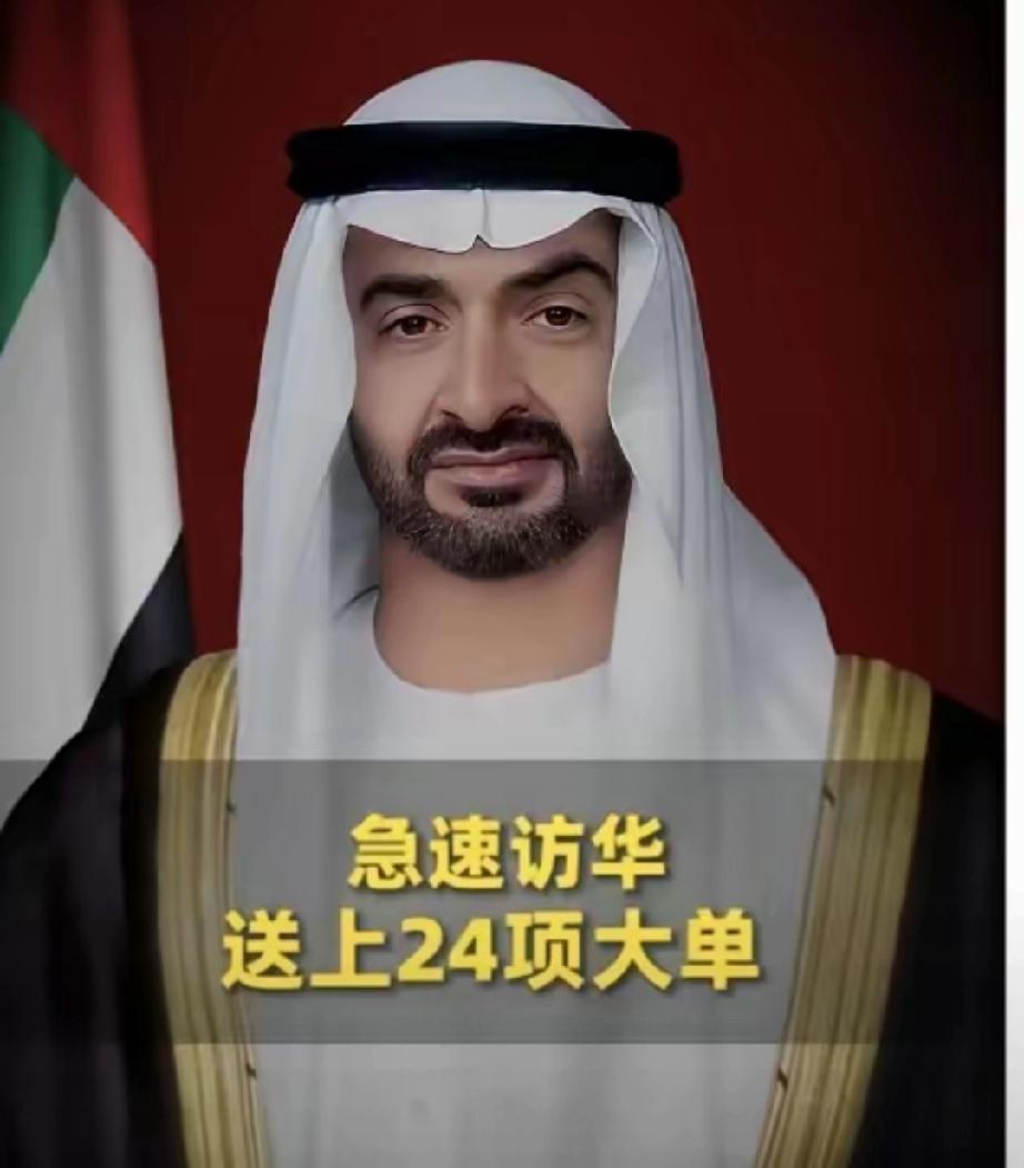 阿联酋最大的误判是没想到伊朗还能活到现在。所以他们现在疯狂外交，希望大国能替自己