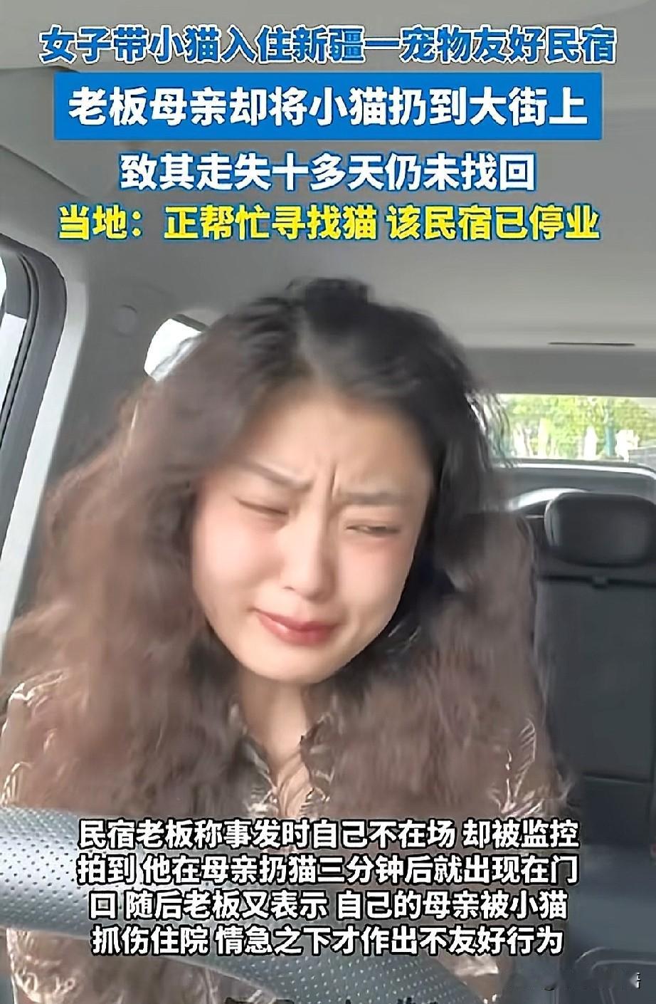 养了8年的猫被扔了，最心碎的不是猫被丢了，而是挂着“宠物友好”四个字最终成了笑话