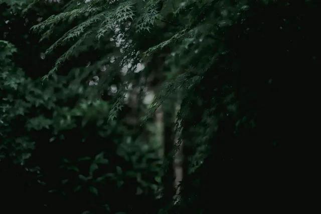 轻雨洒窗夜未眠，
故人往事绕心房。
茶烟袅袅情难尽，
酒香醇醇意不忘。