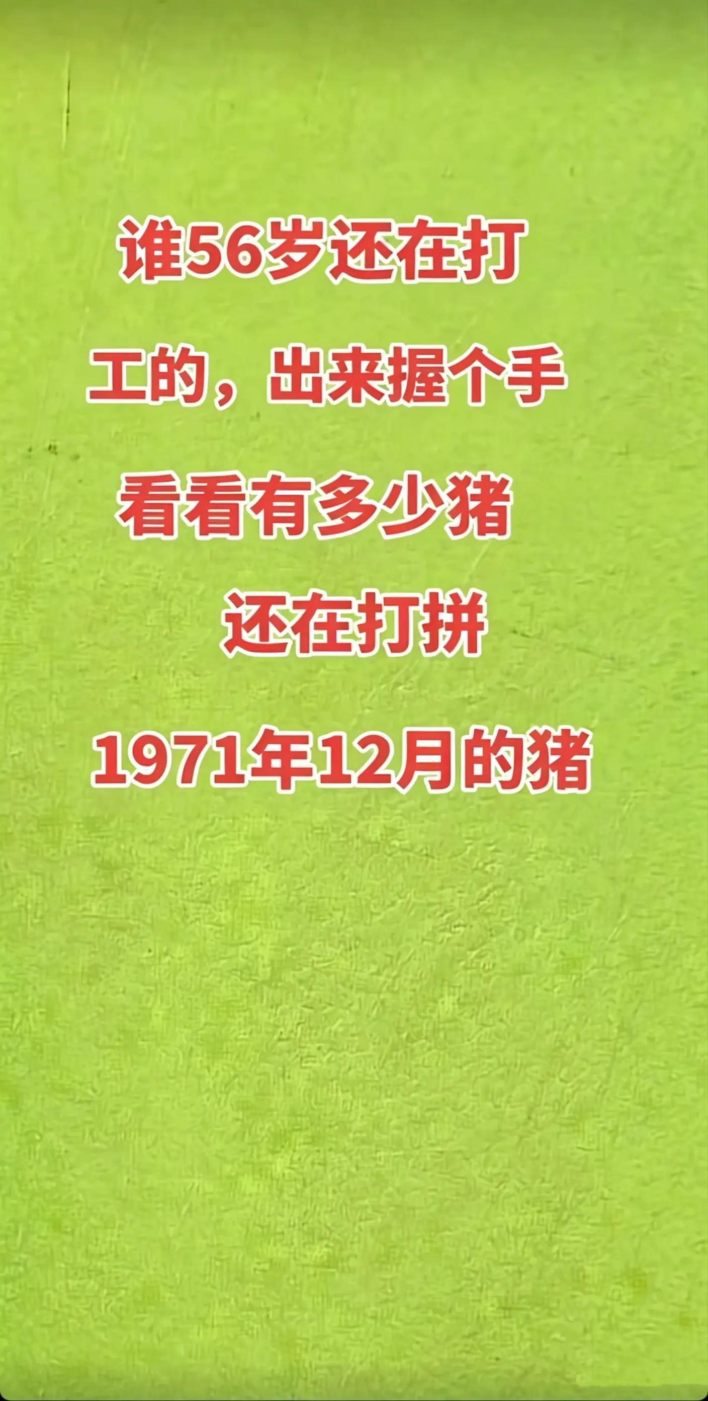71年的猪