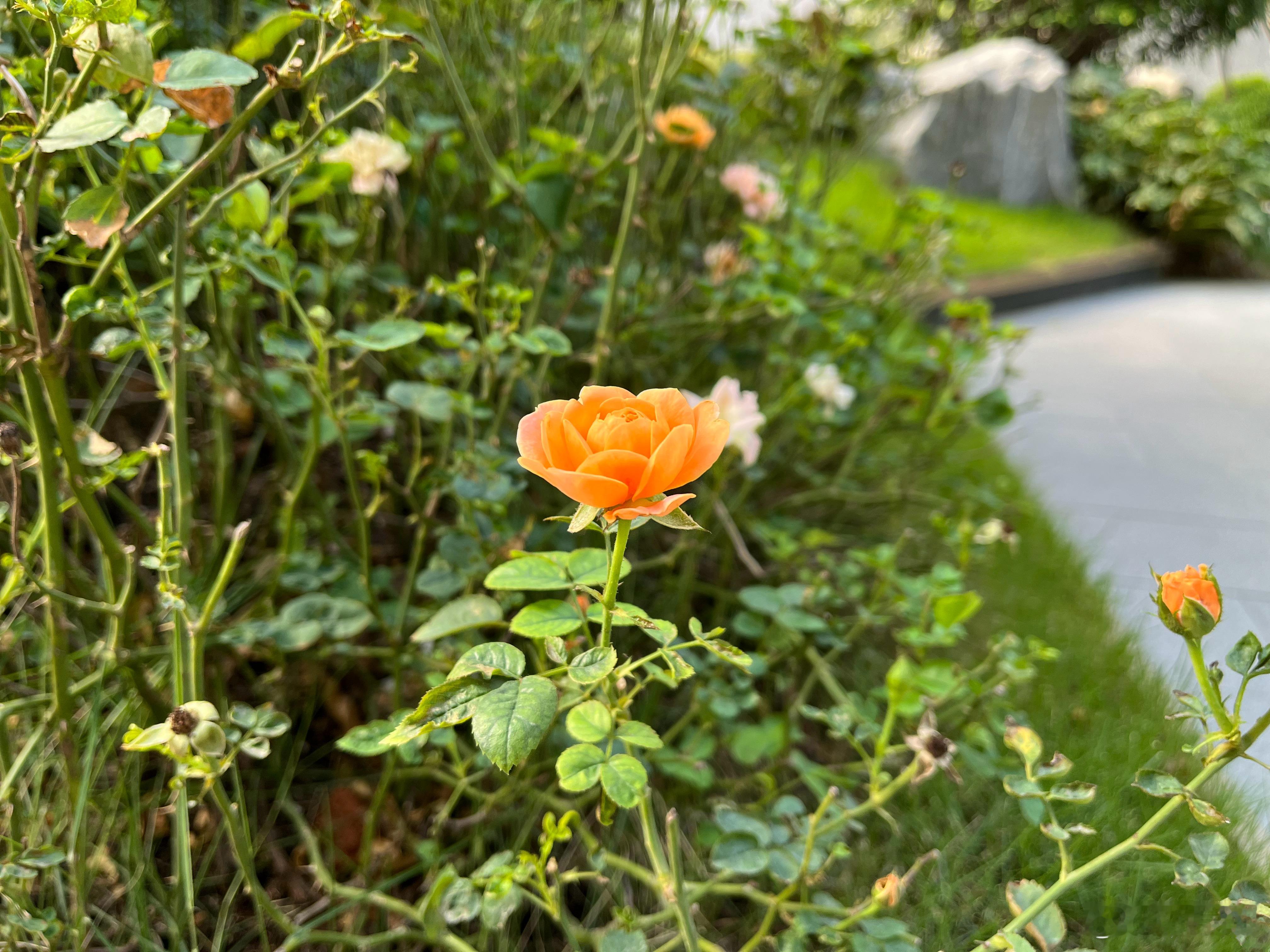 花花世界，一起看看吧！#泉州[超话]#  ​​​
