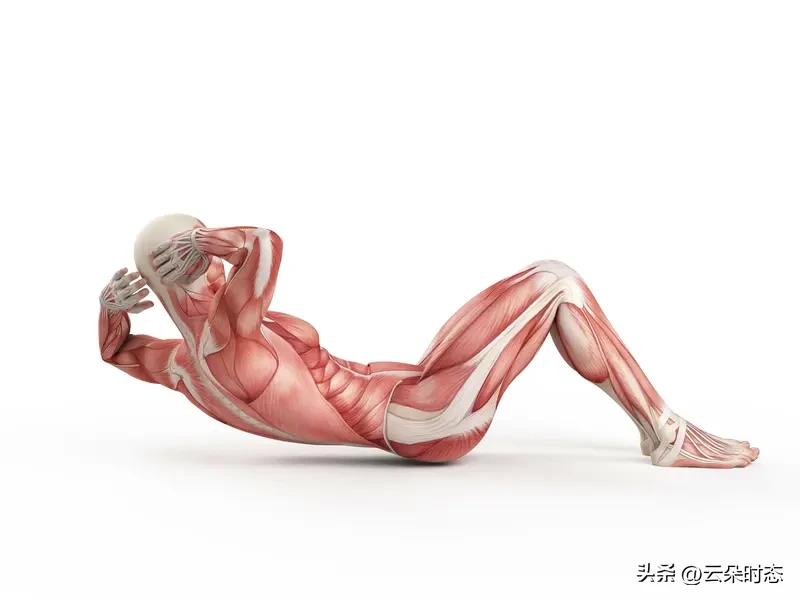 肚子大别只知道做仰卧起坐！医生大实话：这3点做不到，练死也白搭。

肚子上的肉，