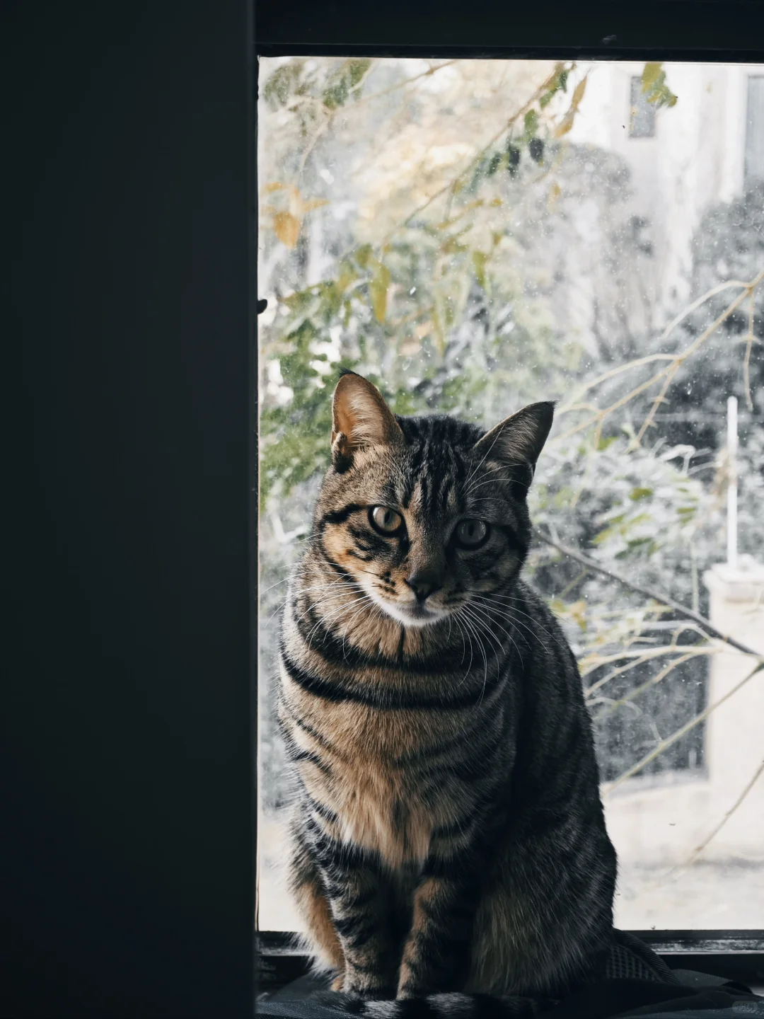 两个科室敲墙沟通