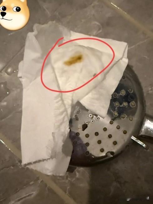 “太恶心了吧！”浙江杭州，一对小情侣开房过夜，晚上女朋友先洗澡，总觉得花洒头不对