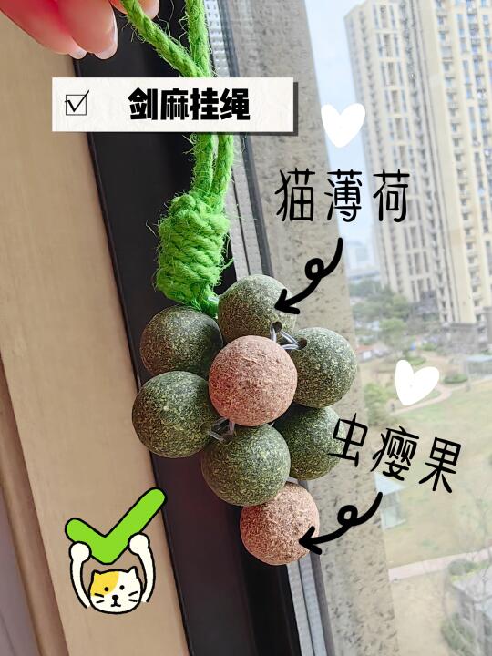 【猫薄荷舔舔乐】🐱猫咪玩到停不下来！🍇