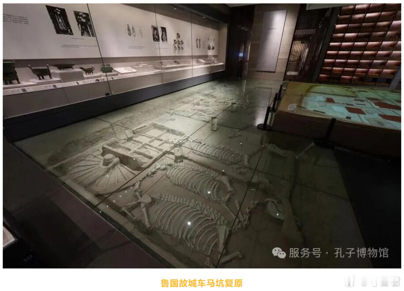 马年看马战国黄玉马 战国玉马存世极少，而这件山东济宁孔子博物馆藏的圆雕黄玉马，不