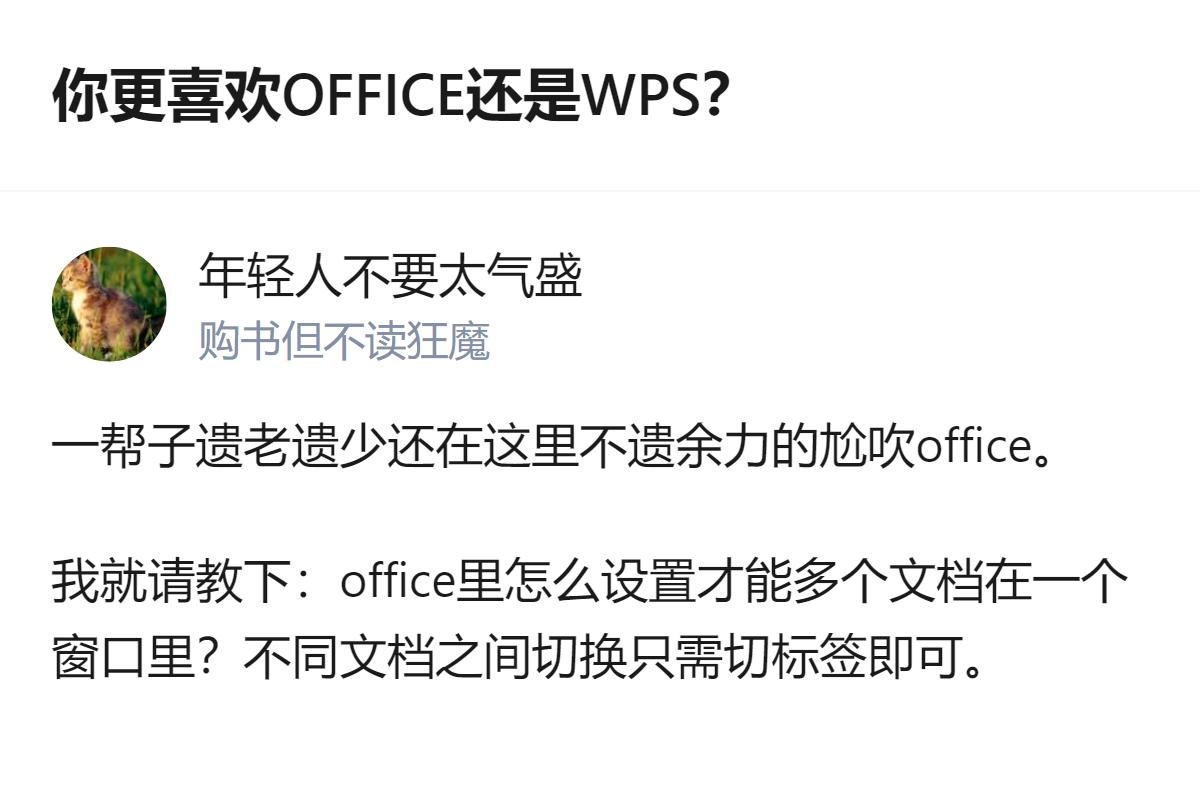 针对常用的Word和Excel，有人尬吹Office，可Office连多个文档在