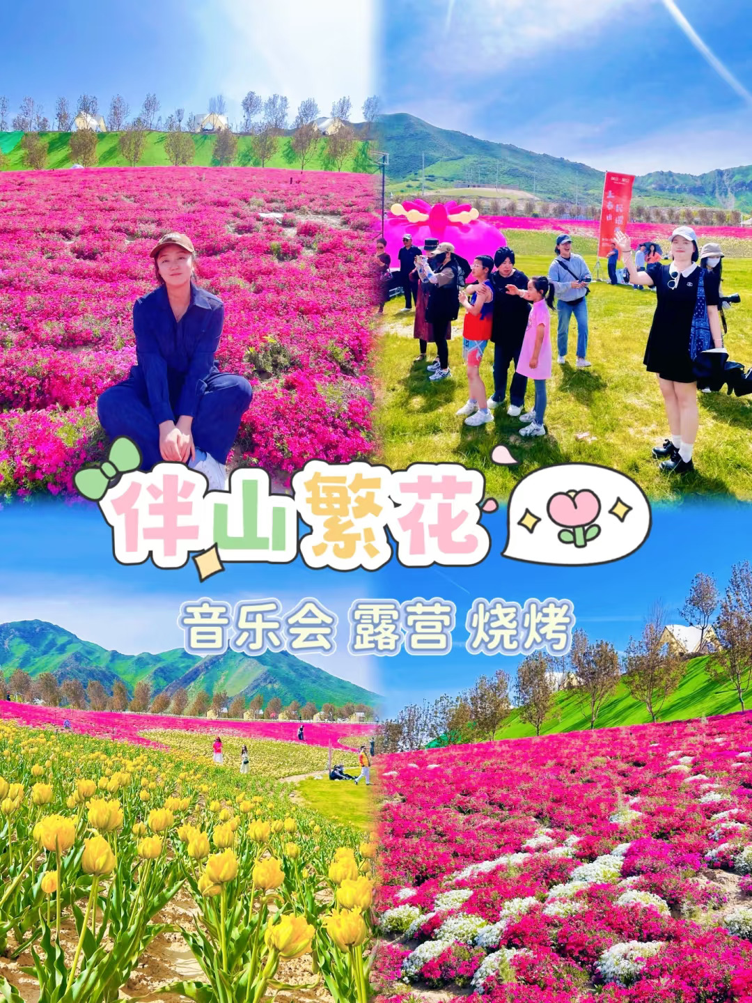 石人沟春日郁金香音乐露营派对