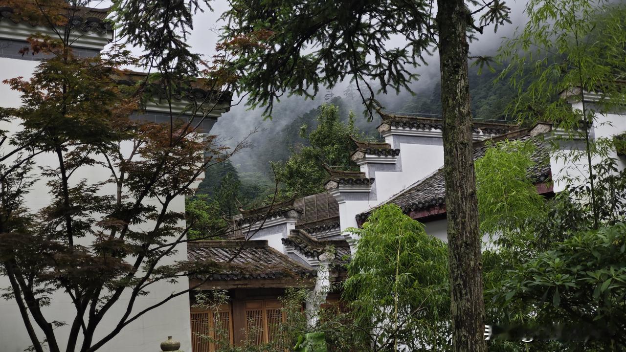 最近发布的心肾代谢综合防治指南，对心脑血管疾病的防治进入综合管理模式。以往冠心病