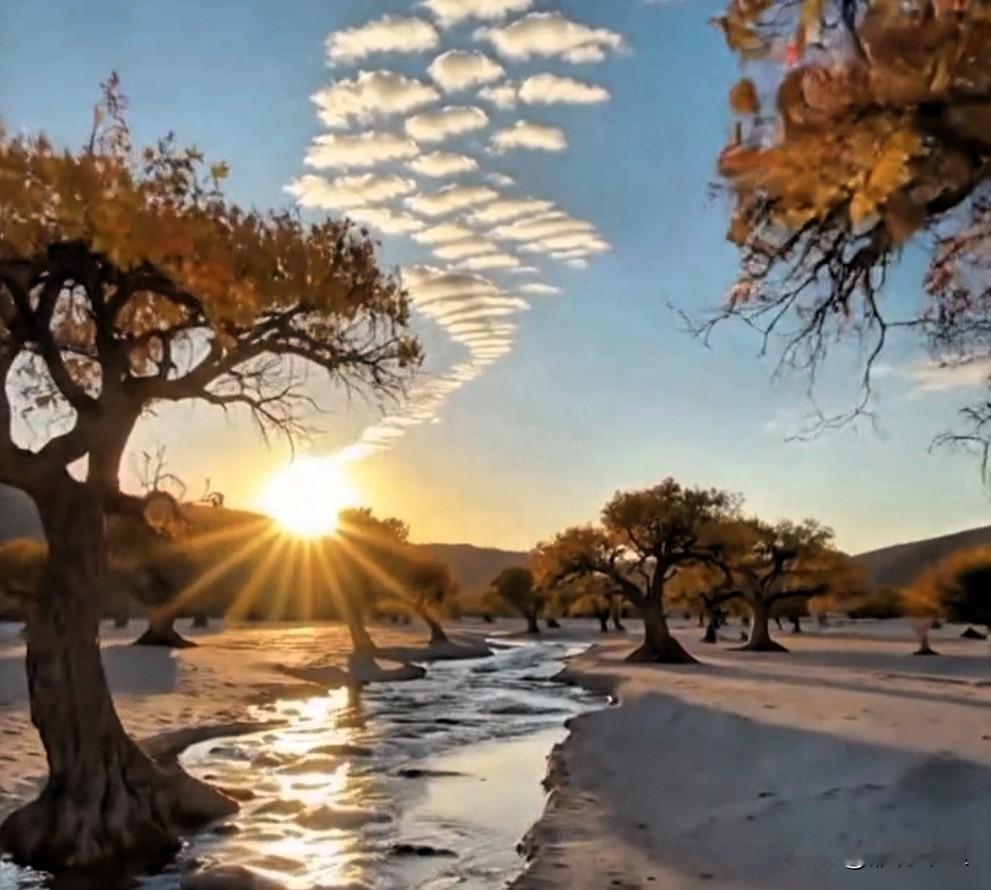 不知道你有没有发现，
近几年身边好多大学都悄悄换名字了？

比如某某学院变成某某