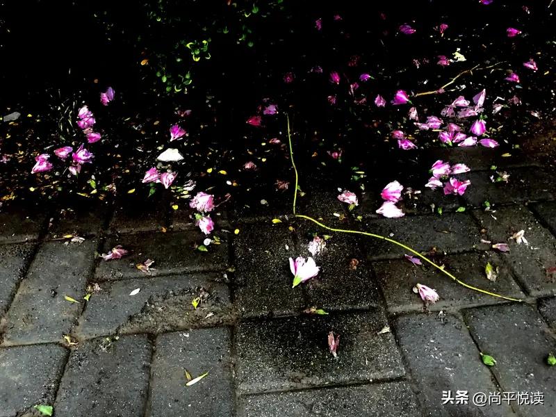上联：风里落花谁是主
下联：云间孤月自多情

[微风]解析：

 “风里”对“云