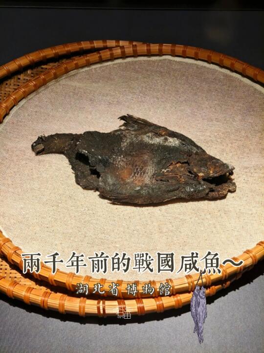 湖北省博那条躺平两千四百年的战国咸鱼