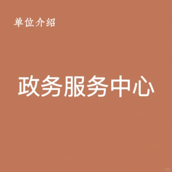 宝子们，这是政务服务中心