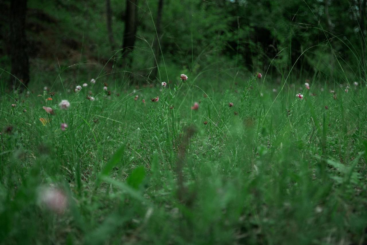 不寻桃花源，只因家乡处处皆是景#我的摄影日记 #每一帧都是热爱 #抖音摄影美学大