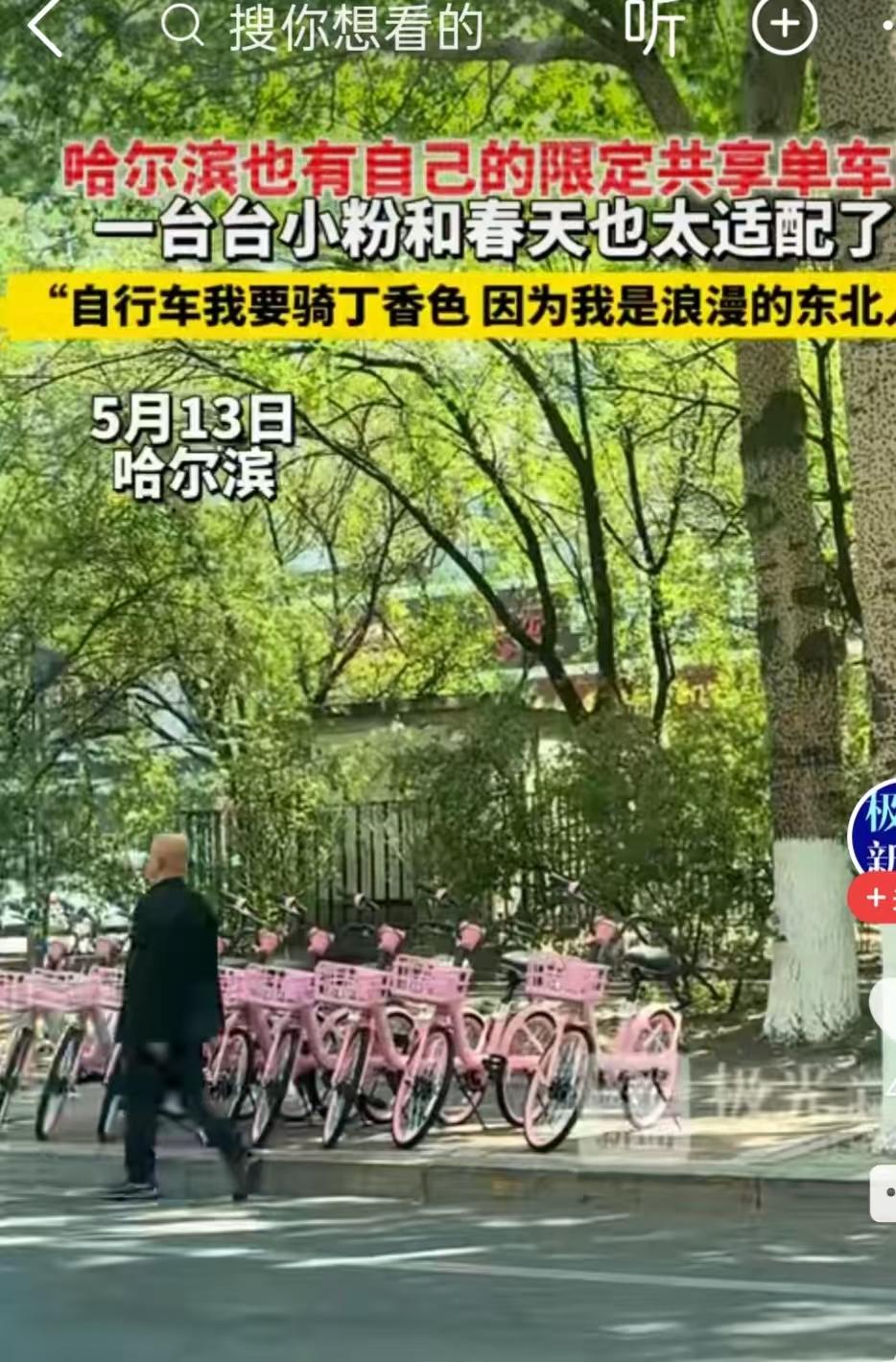 好消息！5月13日哈尔滨终于迎来专属限定共享单车了。

春暖花开的季节，配上街头