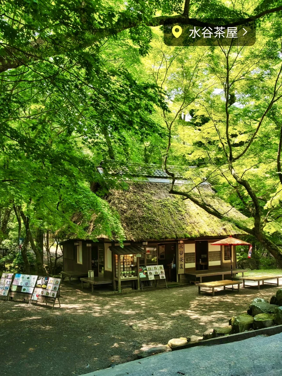第一次去奈良的保姆级攻略 餐厅要提前约❗️