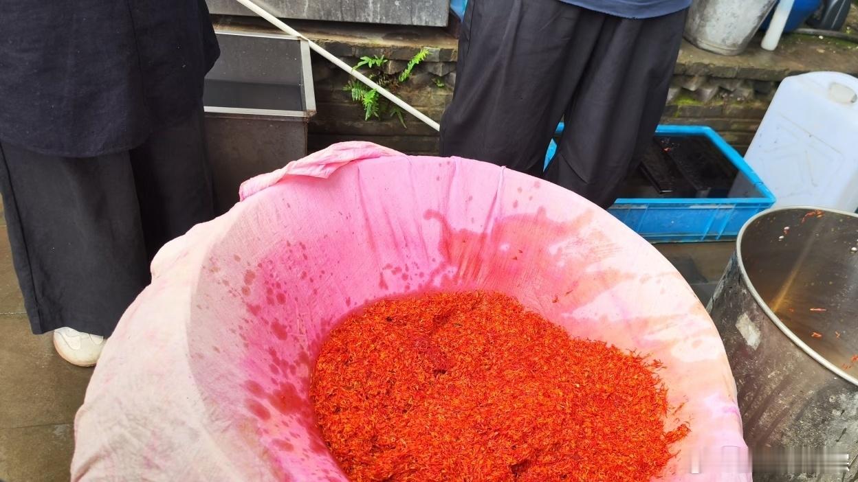 一朵花竟然可以染出这么多种红色这种花是植物界的染色大师大自然真的十分神奇，一朵花