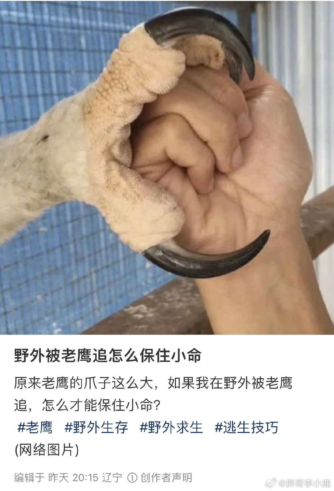 #民间艺术观察# ​​​