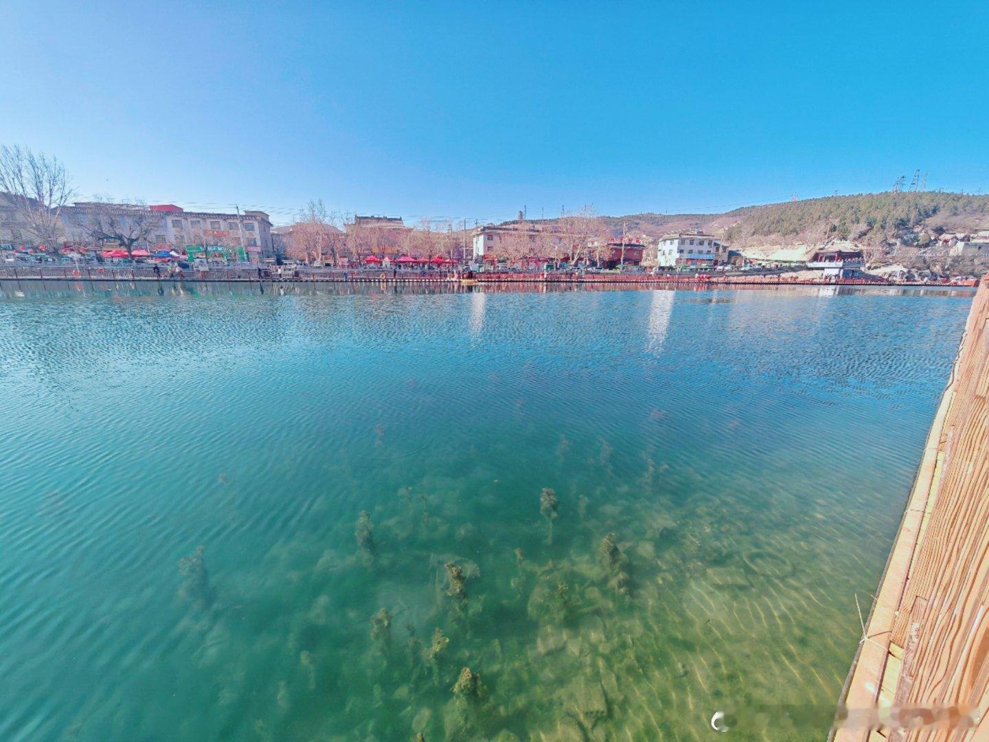 天气好，滏阳河畔，小鱼们都活跃得很，时不时小飞虫飞到河面上，给了小鱼们捕食的机会