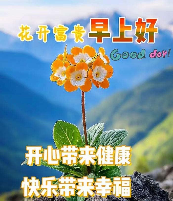 点点滴滴的友情，
润透生活；
纯纯真真的情谊，
涤荡人生；
真真实实的情感，
静