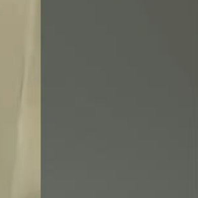 0000种植蓝莓：🫐🫐种植蓝莓需要注意以下几点：1. 土壤选择：蓝莓喜欢生长