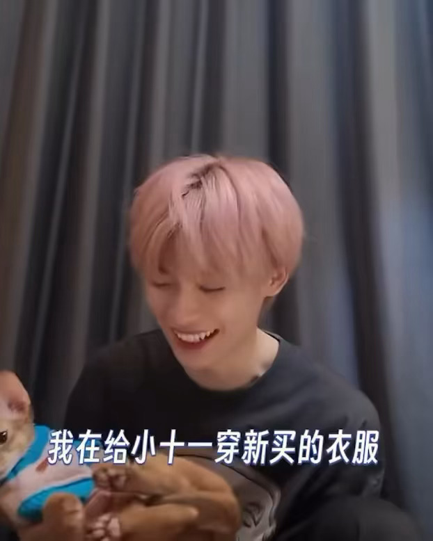 梓渝的猫上综艺了，哈哈哈哈哈哈我们小十一飞升了！怎么能这么可爱这么萌，十一的表情