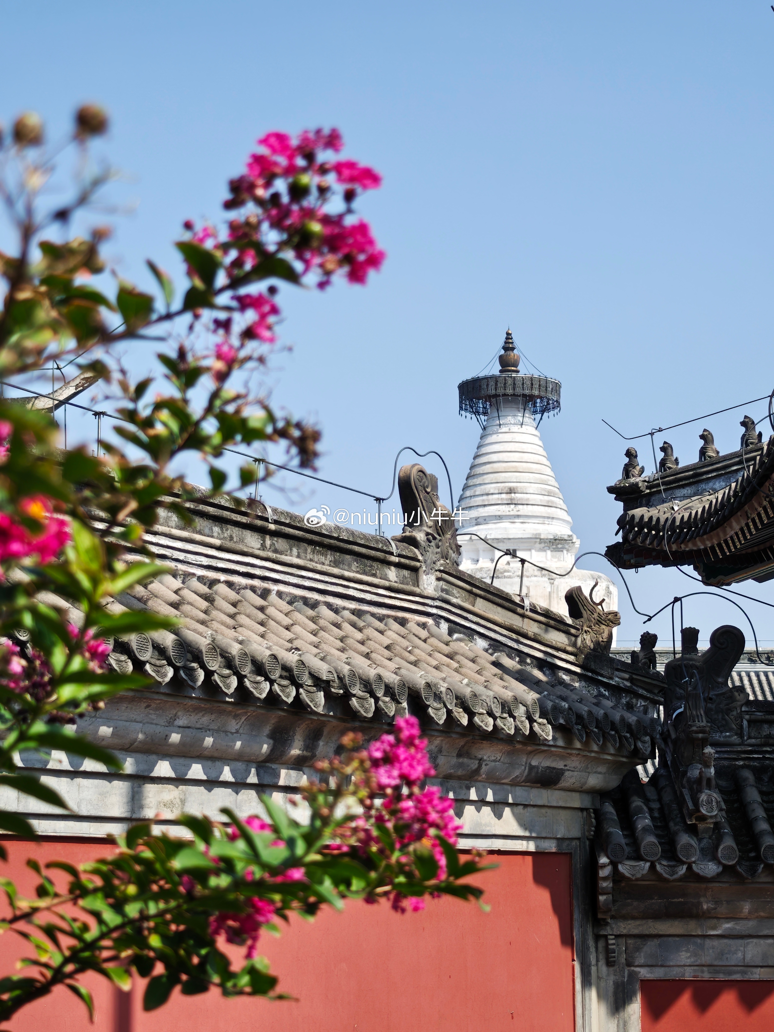 秋日北京白塔寺  摄影​​​