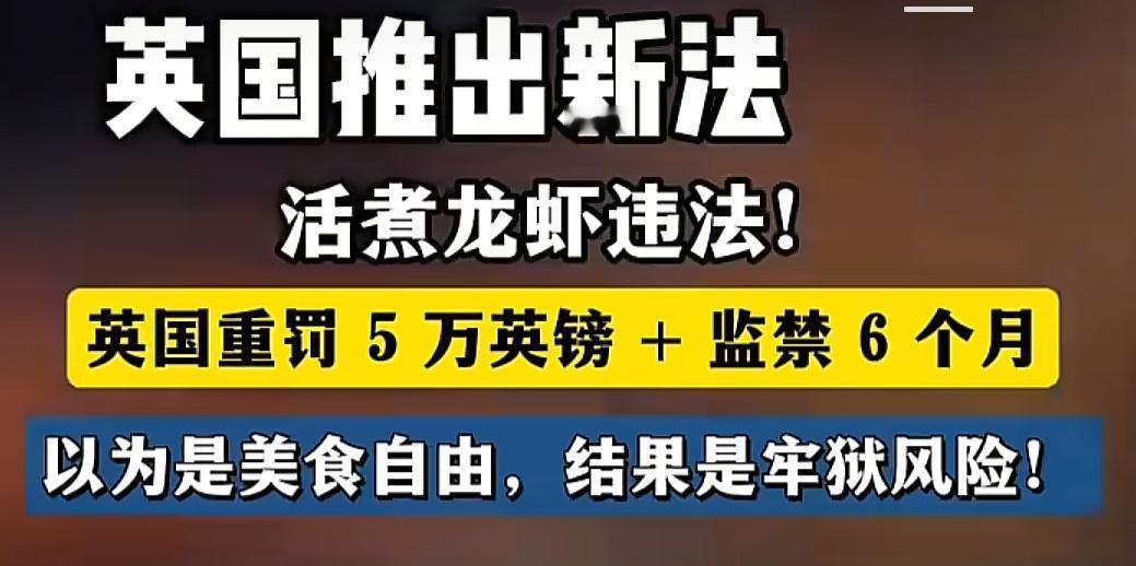 自由、民主、文明的国家就不一样，必须致晕海鲜才能烹煮，不然违法。