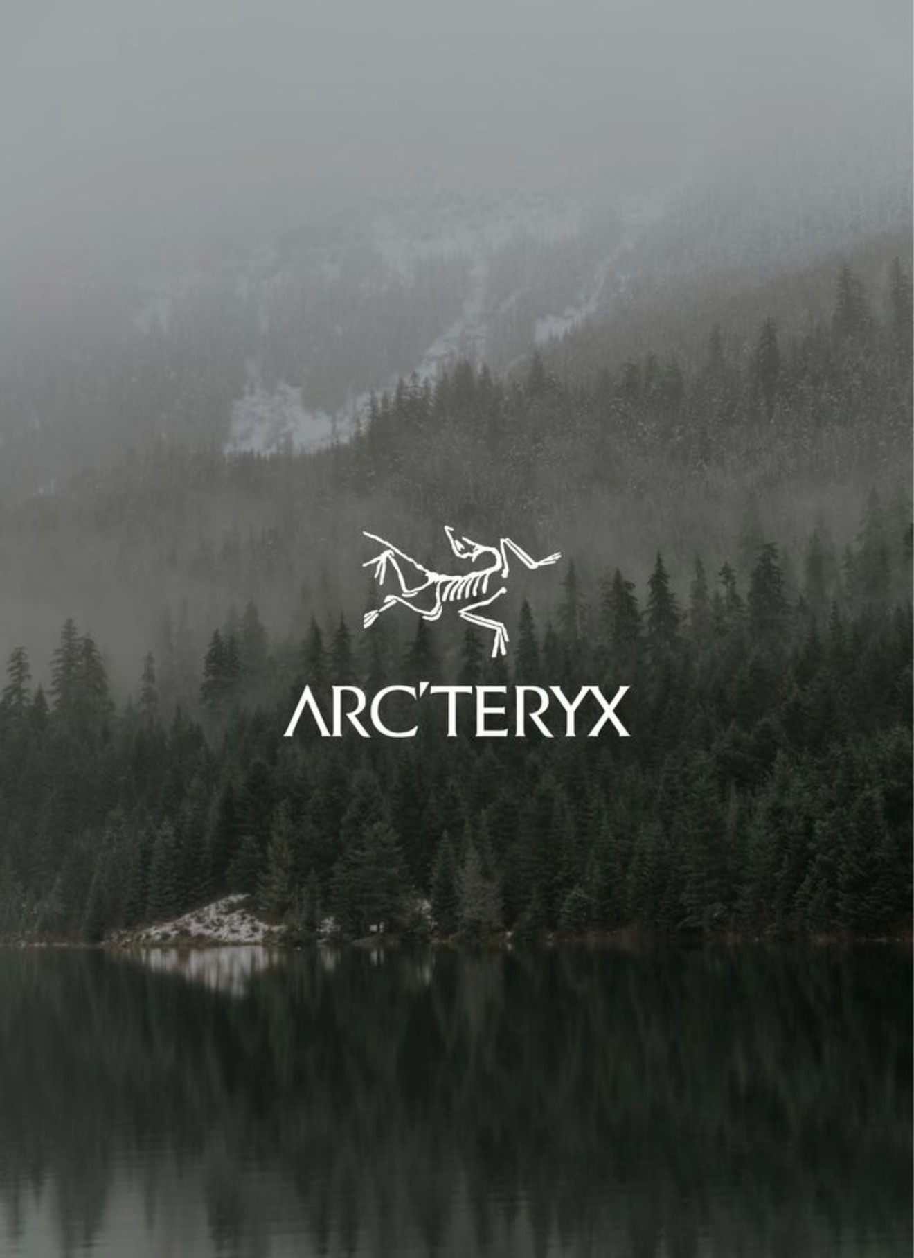 始祖鸟化石还真长这样，LOGO 还原得挺好，不过把我看饿了 成都·成都自然博物馆